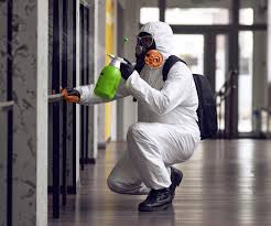 Best Industrial Mold Remediation  in Ke Charles, LA